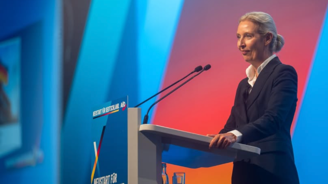 Hat die AfD wirklich alle Antworten?